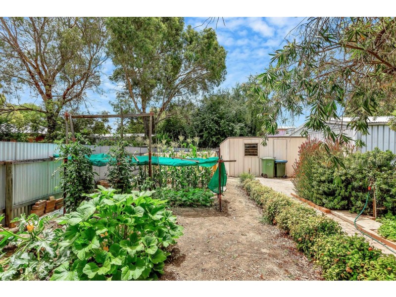 44 Albert Road, Mount Barker SA 5251