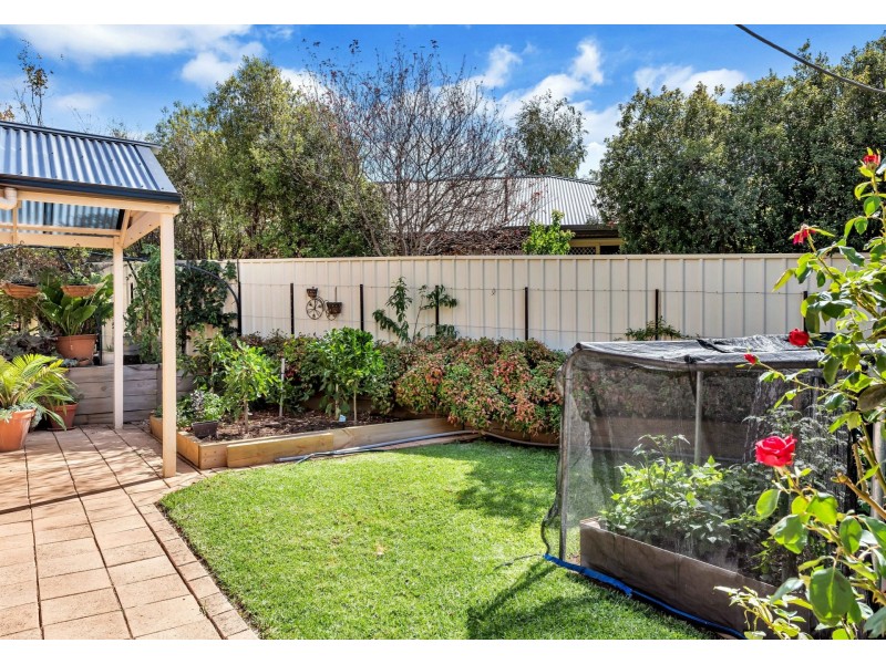 29 Gollan Circuit, Mount Barker SA 5251