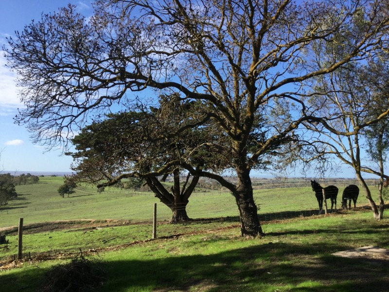 2 Daniel Road, Wistow SA 5251