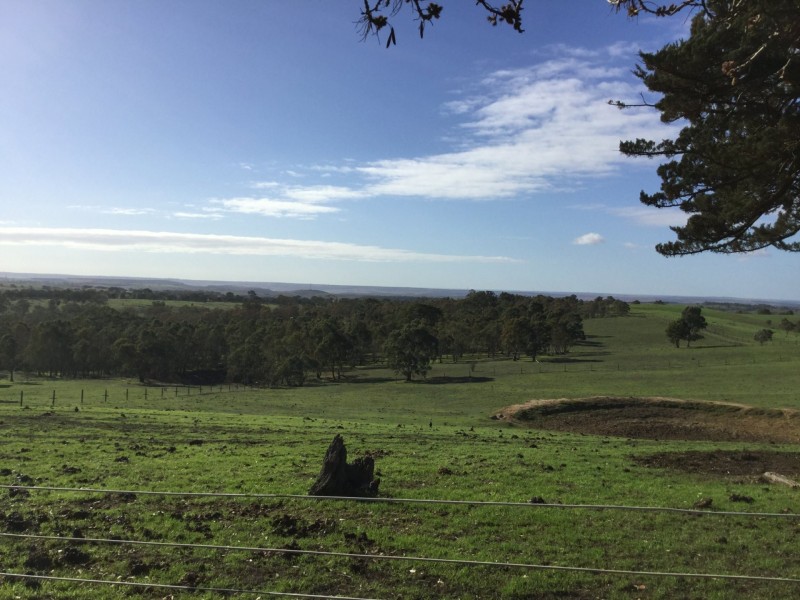 2 Daniel Road, Wistow SA 5251