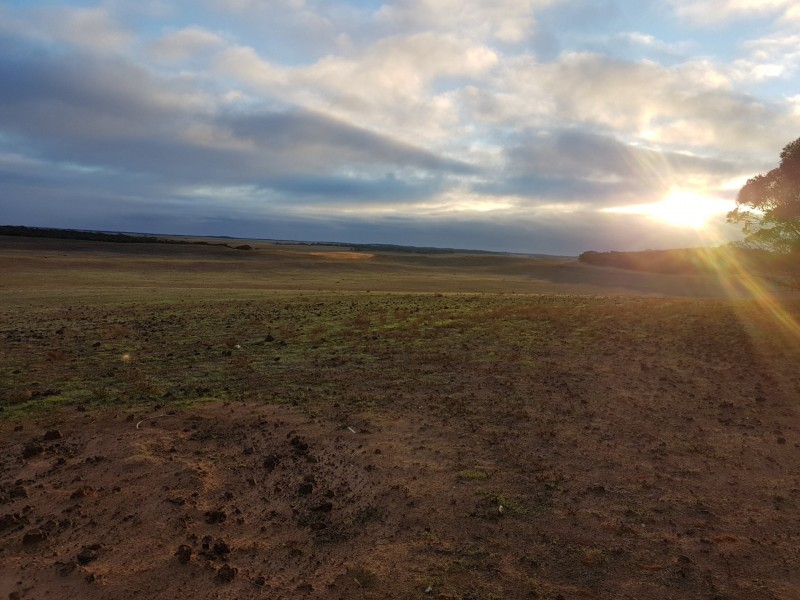 Lot 3 Sandalwood Road, Karoonda SA 5307