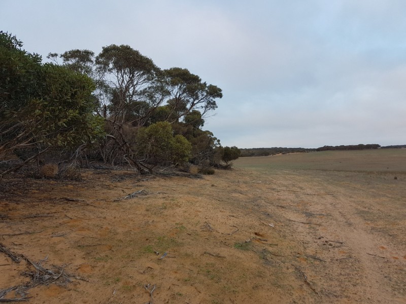 Lot 3 Sandalwood Road, Karoonda SA 5307