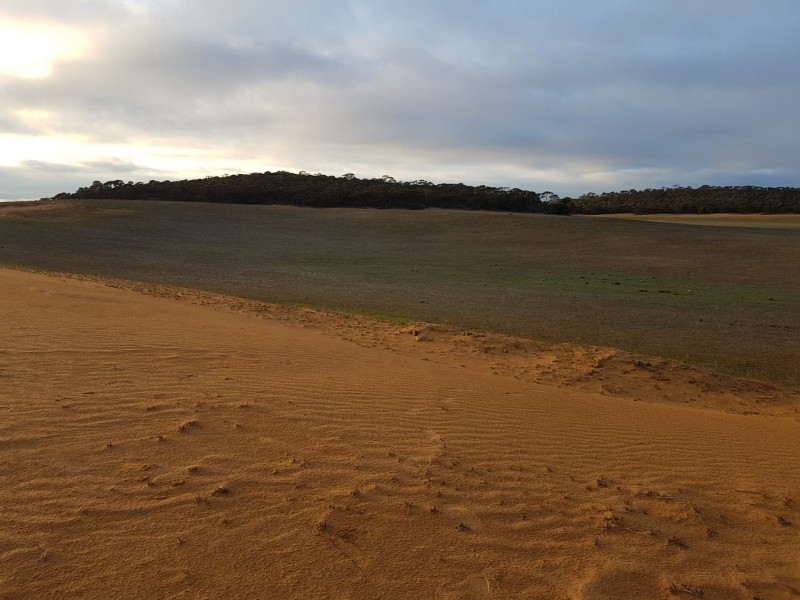 Lot 3 Sandalwood Road, Karoonda SA 5307