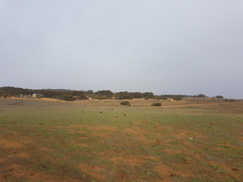 Lot 3 Sandalwood Road, Karoonda SA 5307