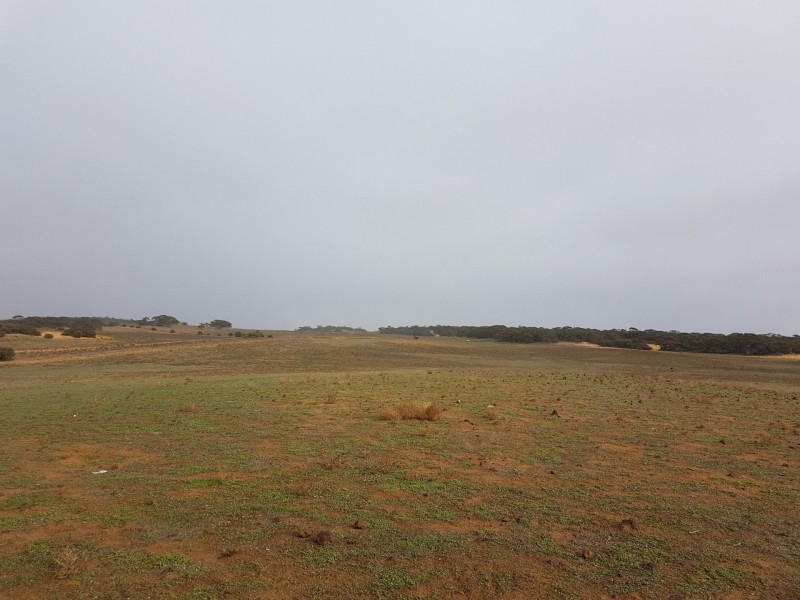 Lot 3 Sandalwood Road, Karoonda SA 5307
