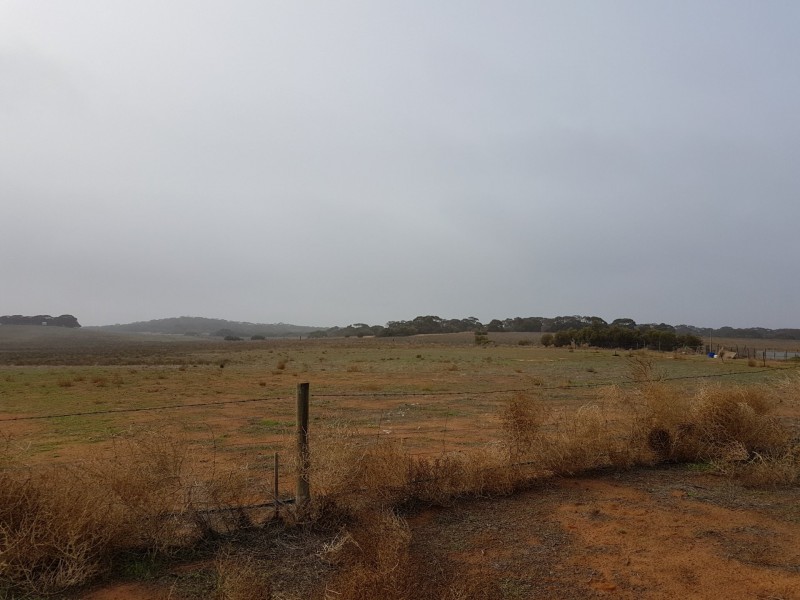 Lot 3 Sandalwood Road, Karoonda SA 5307