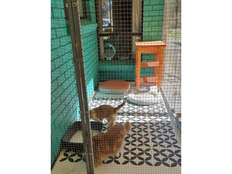 149 North Road, Nairne SA 5252