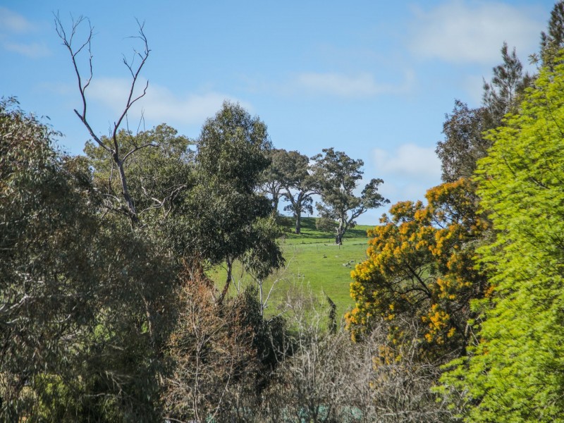 8 Hanny Crescent, Nairne SA 5252