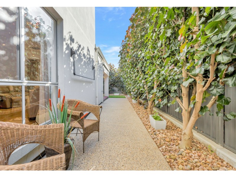 6a Harrison Street, Henley Beach SA 5022