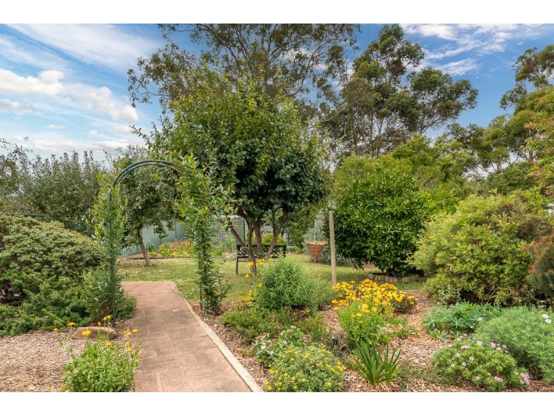 3 Kookaburra Court, Mount Barker SA 5251