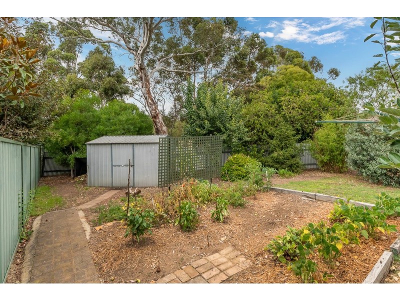 3 Kookaburra Court, Mount Barker SA 5251