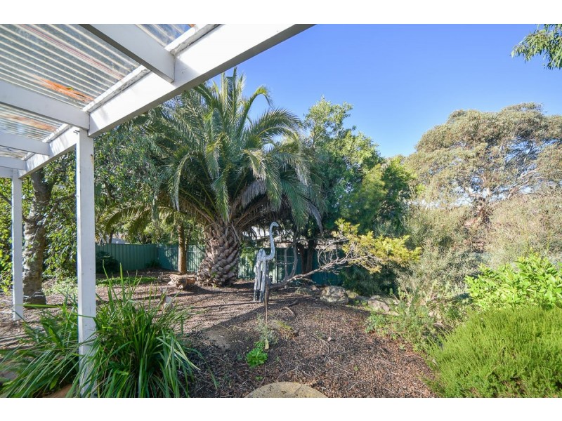 16 Ray Orr Drive, Mount Barker SA 5251