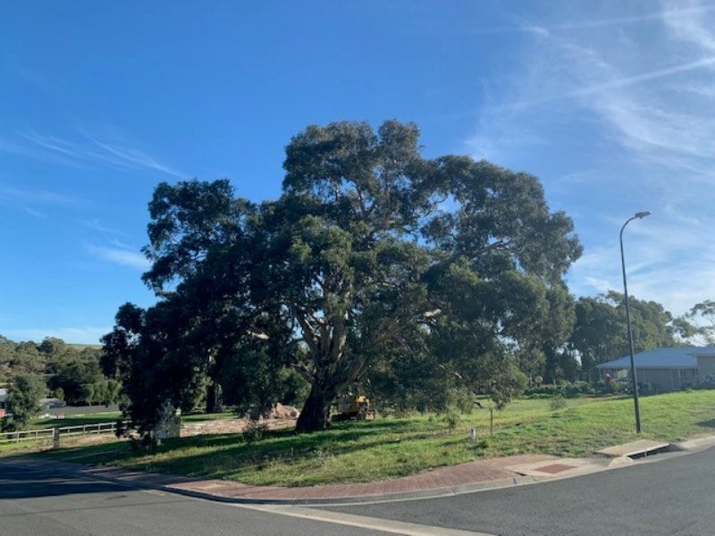 1 Harrison Crescent, Yankalilla SA 5203