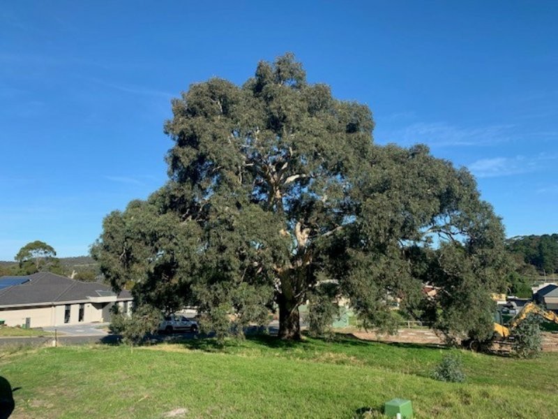 1 Harrison Crescent, Yankalilla SA 5203