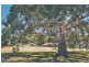 1 Harrison Crescent, Yankalilla SA 5203