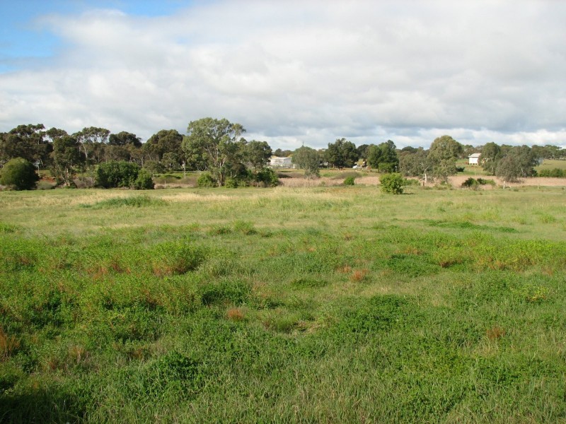 36 Hannam Street, Callington SA 5254