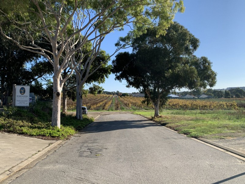 31 Scarpantoni Drive, Mclaren Flat SA 5171