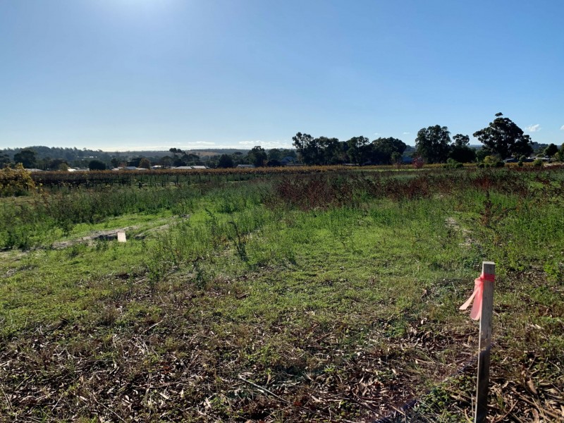 31 Scarpantoni Drive, Mclaren Flat SA 5171