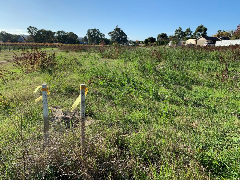 31 Scarpantoni Drive, Mclaren Flat SA 5171