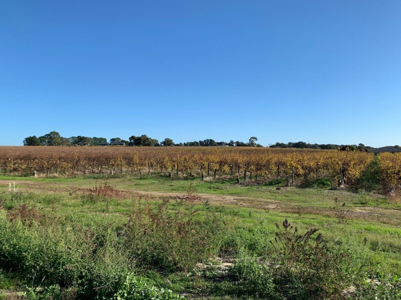 31 Scarpantoni Drive, Mclaren Flat SA 5171