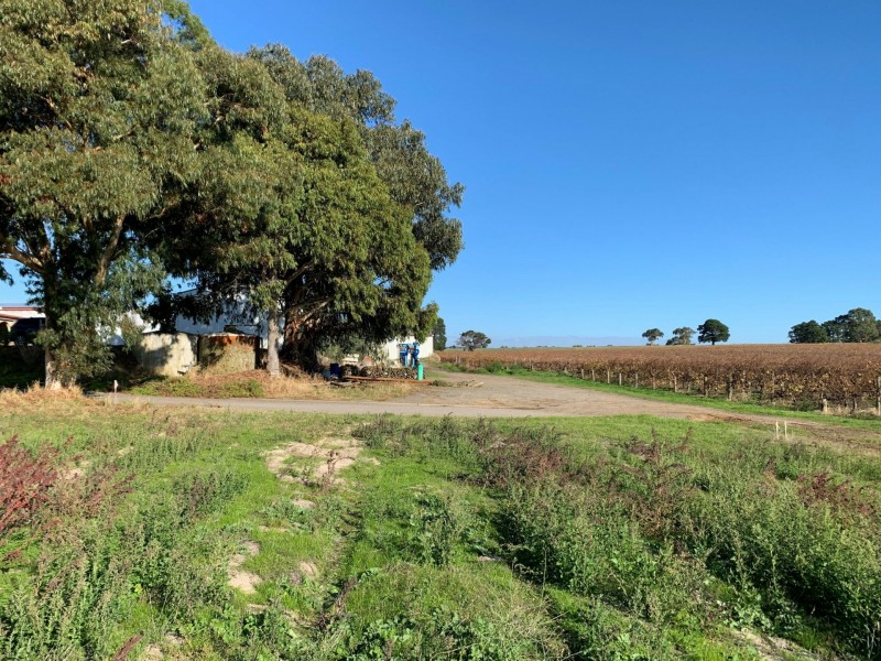 31 Scarpantoni Drive, Mclaren Flat SA 5171