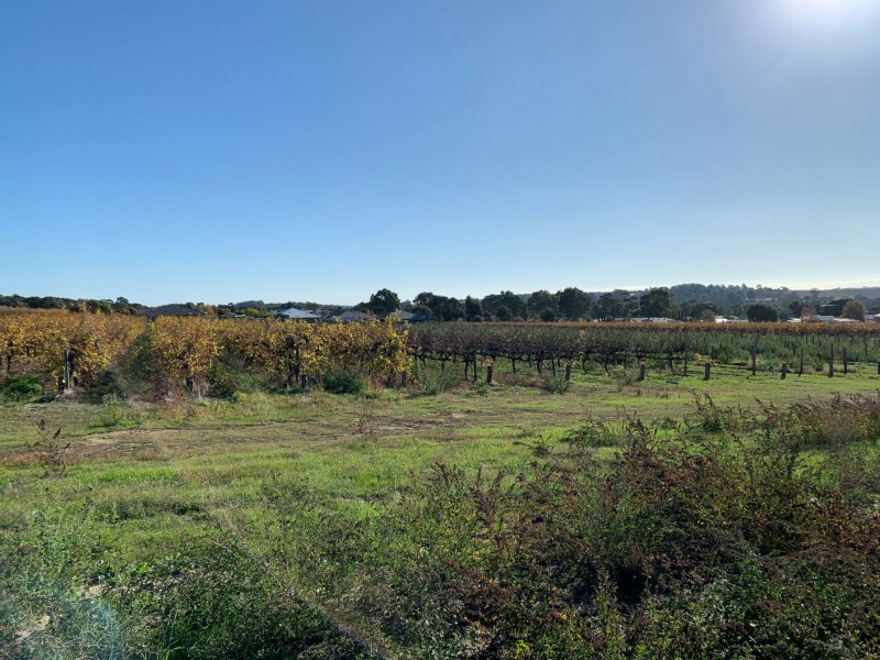 31 Scarpantoni Drive, Mclaren Flat SA 5171