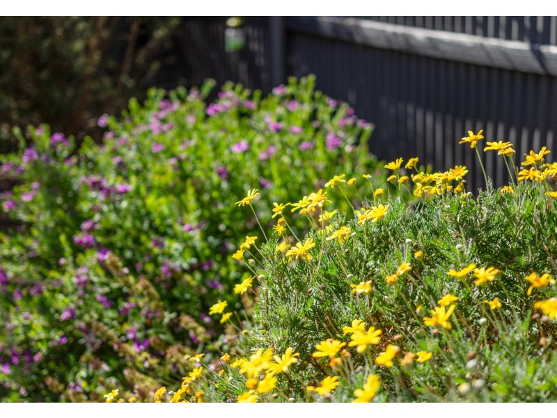 6 Riverview Drive, Callington SA 5254