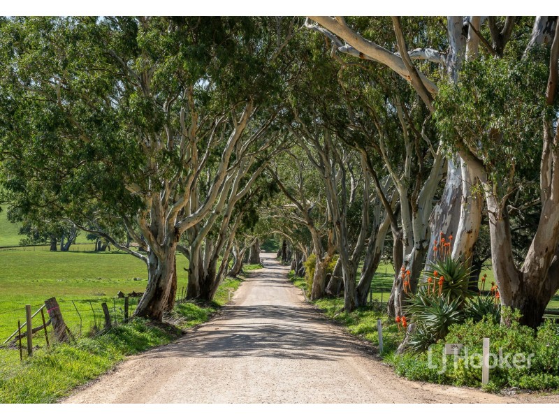 Lot 71 Daniel Road, Wistow SA 5251