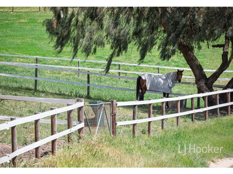 116 Glen Bold Road, Chapel Hill SA 5153