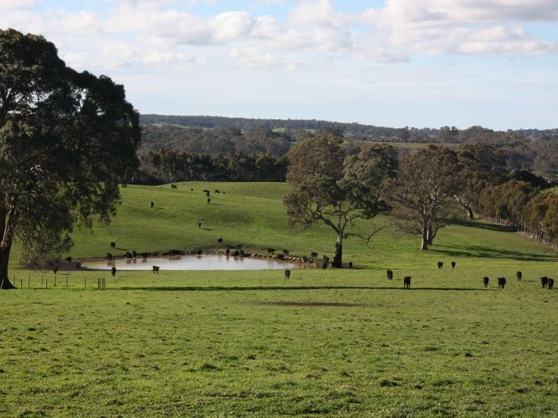 1/ Carnells Road, Birdwood SA 5234