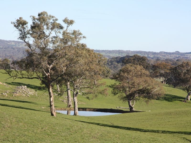 1/ Carnells Road, Birdwood SA 5234