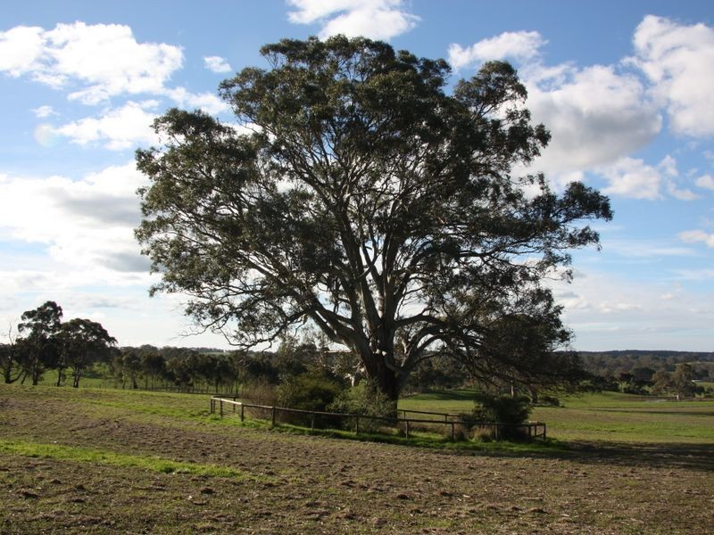 1/ Carnells Road, Birdwood SA 5234