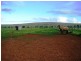 2312 Old Princes Highway, Kanmantoo SA 5252