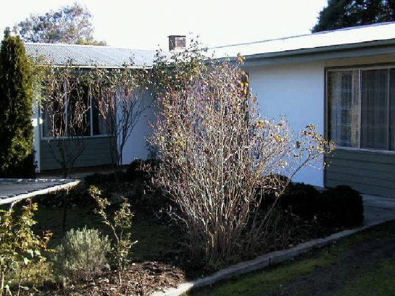 4 Hurling Drive, Mount Barker SA 5251