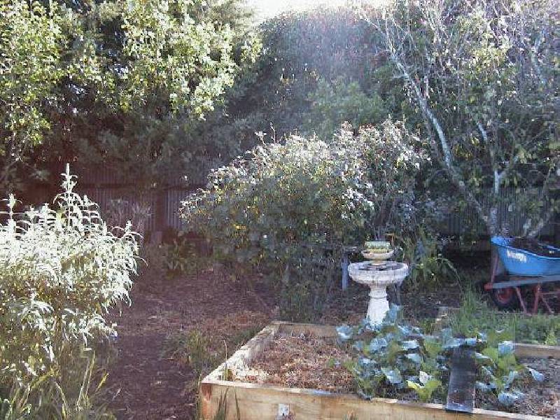 4 Hurling Drive, Mount Barker SA 5251