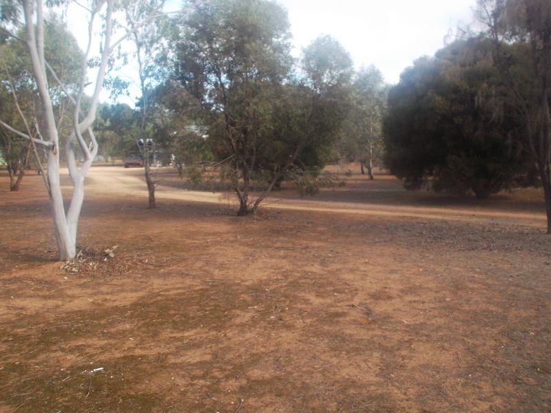 11 Atkinson Street, Kanmantoo SA 5252