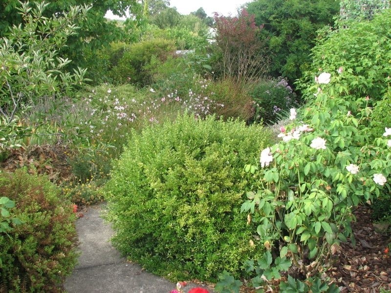 19 Dumas Street, Mount Barker SA 5251