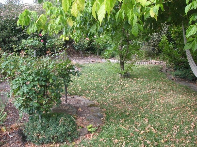 19 Dumas Street, Mount Barker SA 5251