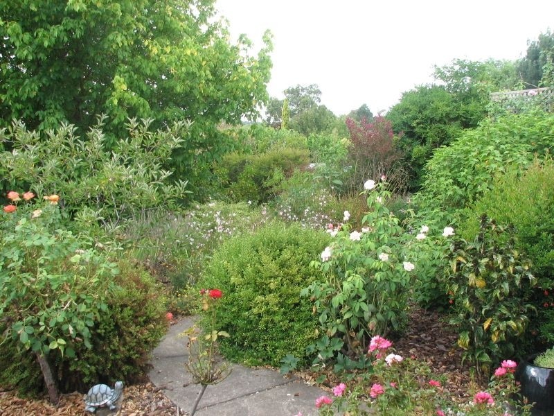 19 Dumas Street, Mount Barker SA 5251