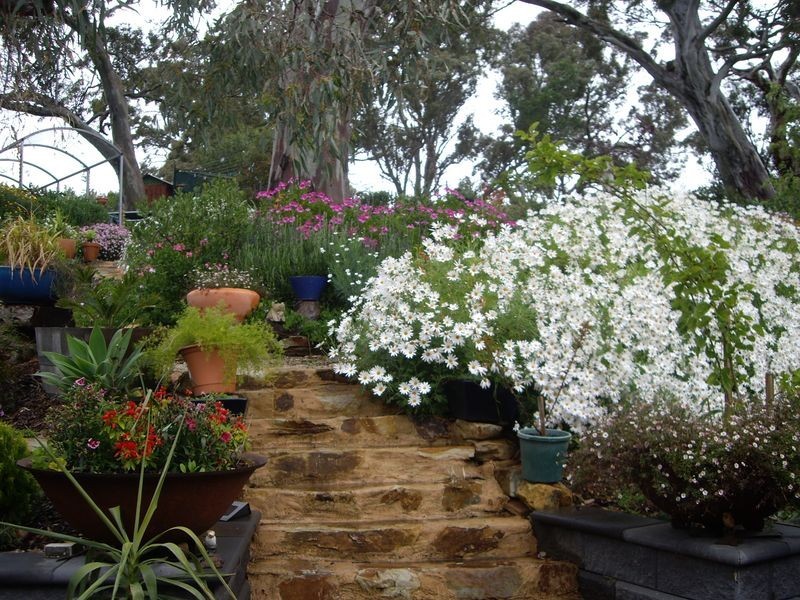 6 Hillside Court, Mount Barker SA 5251