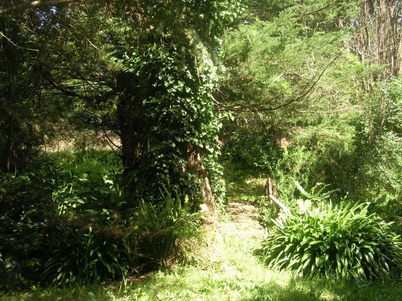 54 Hill View Road, Bridgewater SA 5155