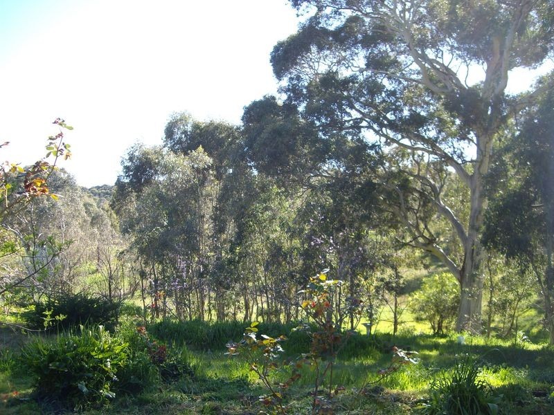 204 Paddys Hill Rd, Mount Barker SA 5251