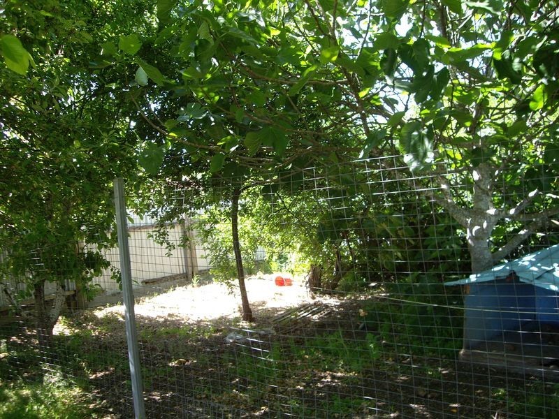 28 Lewis Avenue, Mount Barker SA 5251