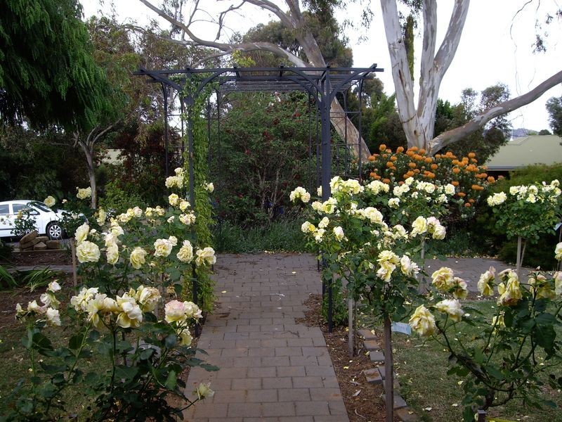 133 Hurling Drive, Mount Barker SA 5251