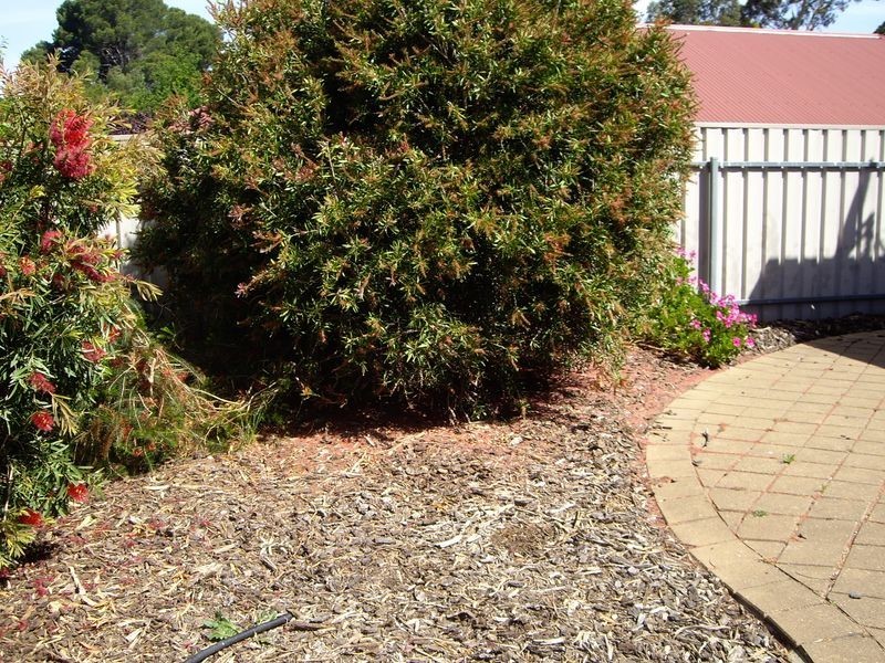 8 Gollan Circuit, Mount Barker SA 5251