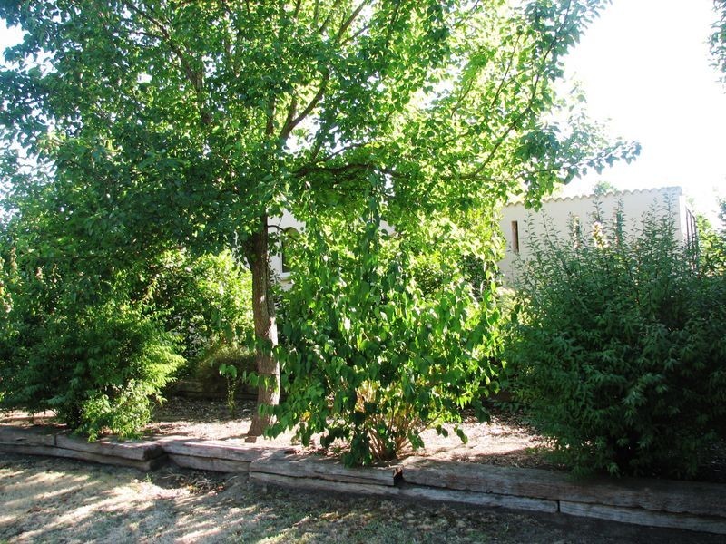 67 English Street, Hahndorf SA 5245