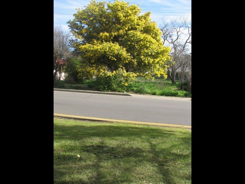 6 Skipper Street, Mount Barker SA 5251