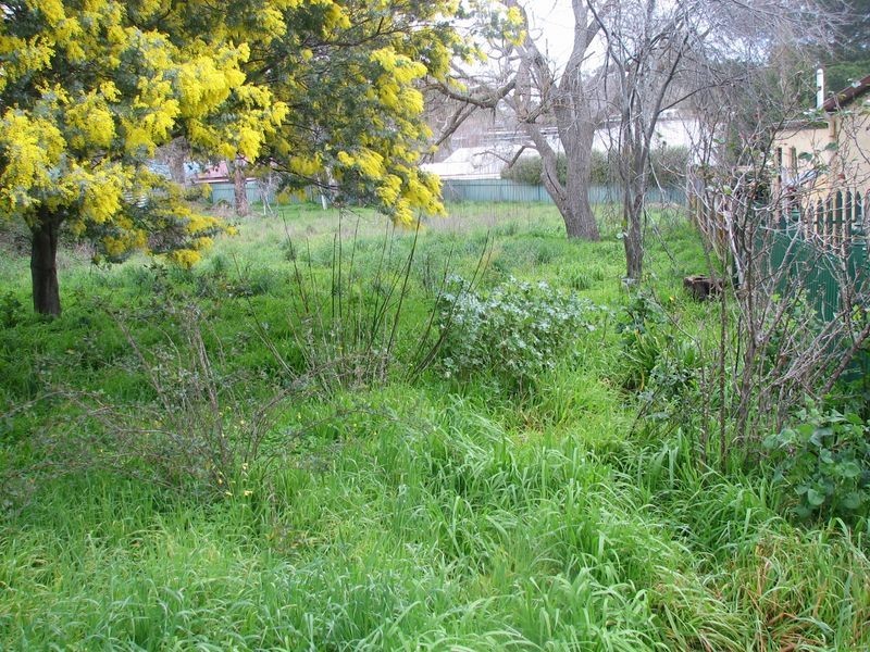 6 Skipper Street, Mount Barker SA 5251