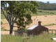 Lot 1/ Springs Road, Mount Barker SA 5251