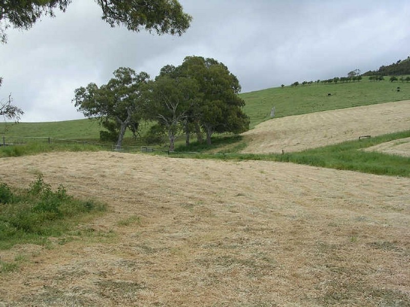 Lot 1/ Springs Road, Mount Barker SA 5251